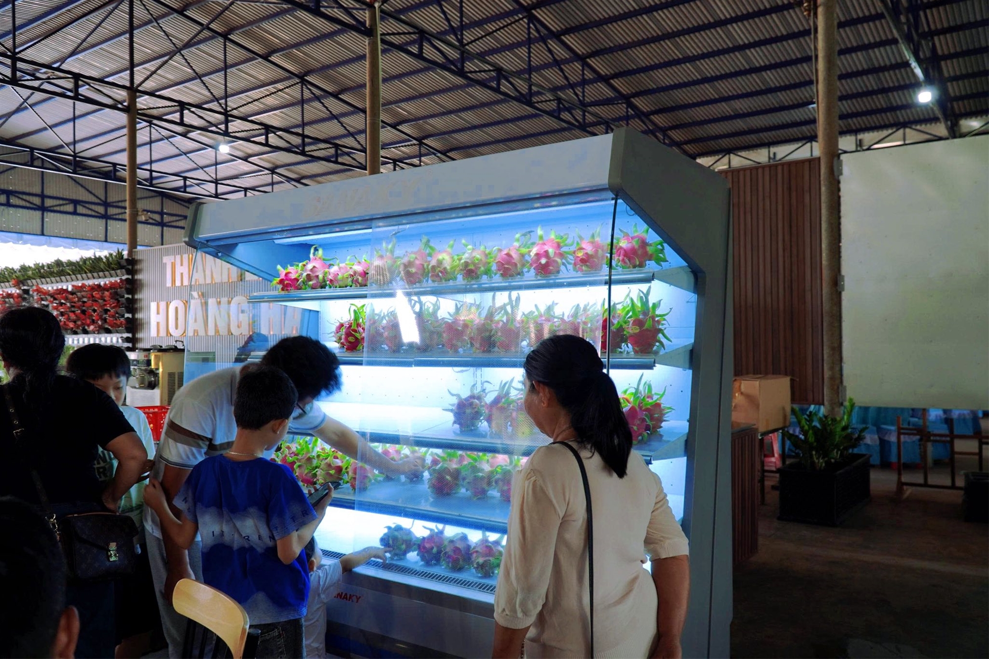 Trái cây tươi